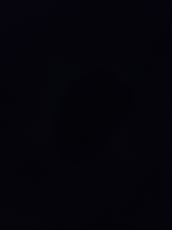 17650610545637686161472297185099